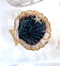 Sea Sparkle Tray